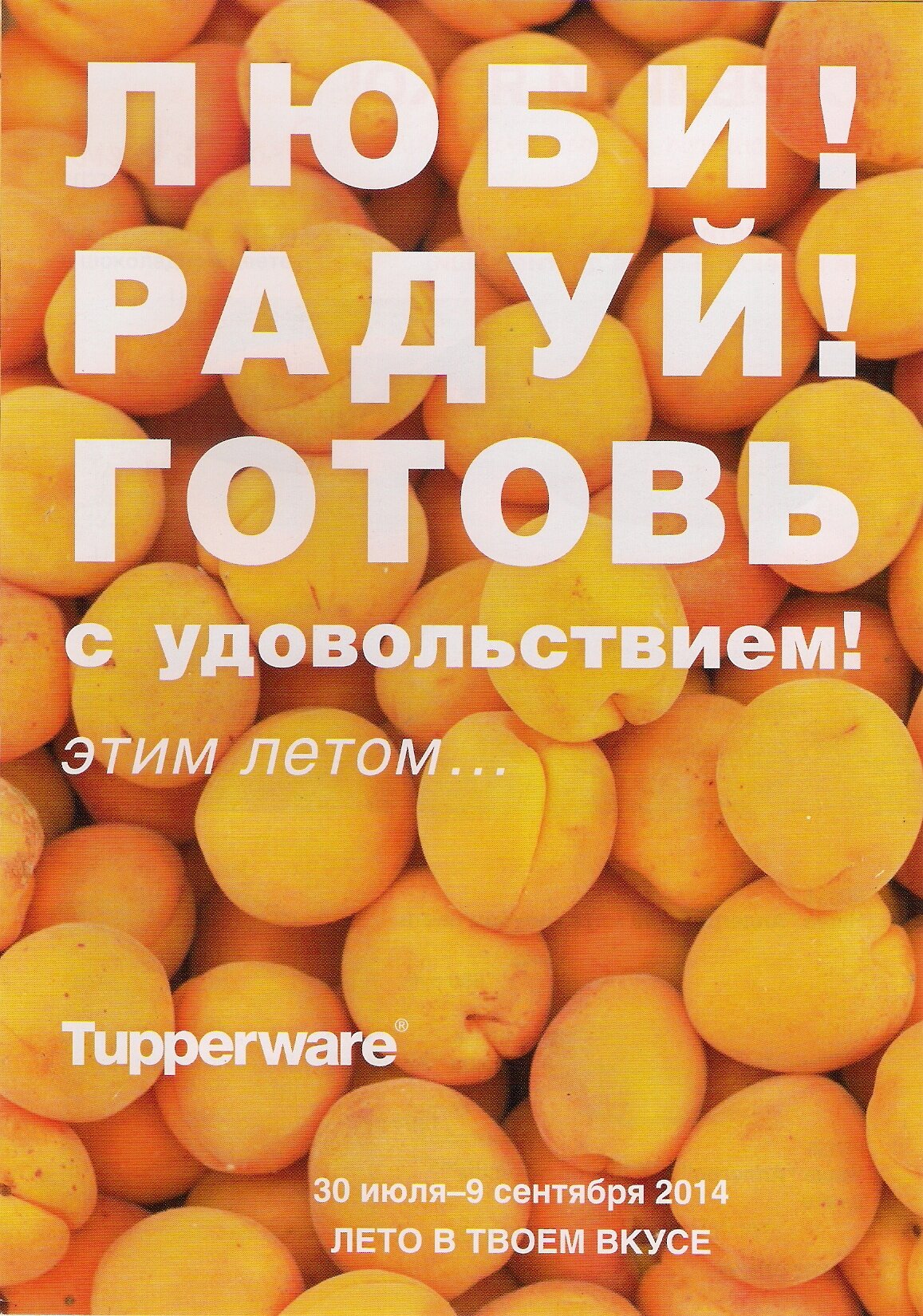 http://tupper4you.ru/images/upload/ц1.jpg
